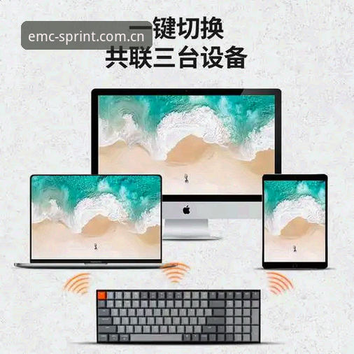 易倍体育平台官方入口vs第三方渠道：下载安全性与便捷性全面对比