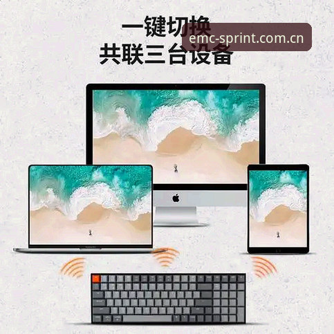 易倍体育平台vs其他平台：正规性深度对比分析